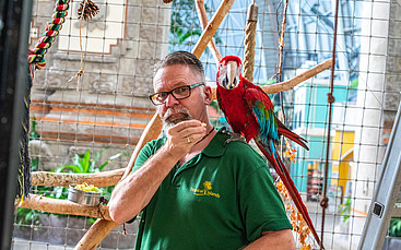 Tropical Islands Gärtner Markus mit dem Ara-Nachwuchs; © Tropical Islands Tropical Islands Gärtner Markus mit dem Ara-Nachwuchs; © Tropical Islands