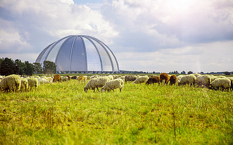 Tropical Islands leistet mit der natürlichen Landnutzung einen Beitrag zum Umweltschutz und zur Erhaltung der heimischen Biodiversität / Foto: Tropical Islands